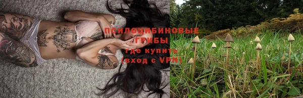 марки lsd Абинск