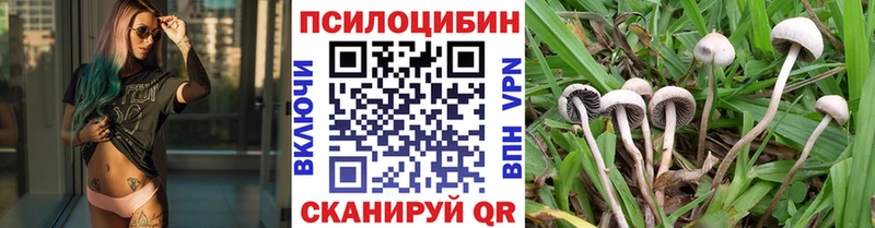 нарко площадка официальный сайт  Темников  Галлюциногенные грибы MAGIC MUSHROOMS 